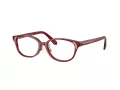 Swarovski SK 2040D 1055 52 Women glasses