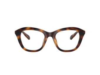 Swarovski SK 2042U 1002 48 Women glasses