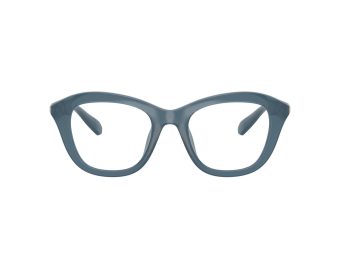 Swarovski SK 2042U 1035 48 Women glasses