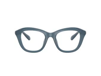 Swarovski SK 2042U 1035 50 Women glasses