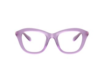 Swarovski SK 2042U 1075 48 Women glasses