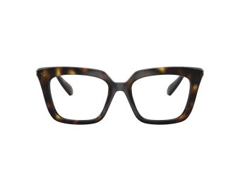 Swarovski SK 2043 1002 49 Women glasses