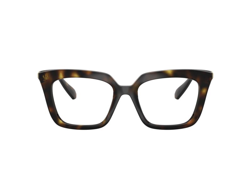 Swarovski SK 2043 1002 49 Women glasses