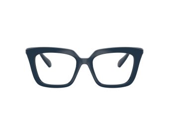 Swarovski SK 2043 1004 49 Women glasses