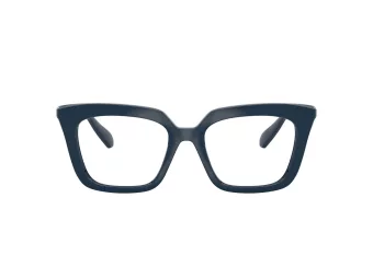 Swarovski SK 2043 1004 51 Women glasses