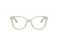 Swarovski SK 2044 3003 49 Women glasses