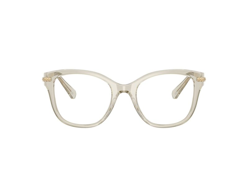Swarovski SK 2044 3003 51 Women glasses