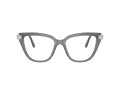Swarovski SK 2045 1072 54 Women glasses