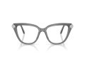 Swarovski SK 2045 1072 54 Women glasses