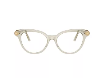 Swarovski SK 2046 3003 53 Women glasses