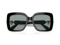Swarovski SK 6001 1001/1 55 Women sunglasses