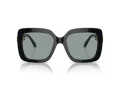 Swarovski SK 6001 1001/1 55 Women sunglasses