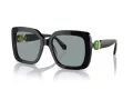 Swarovski SK 6001 1001/1 55 Women sunglasses