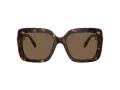 Swarovski SK 6001 100273 55 Women sunglasses