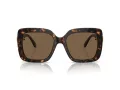 Swarovski SK 6001 100273 55 Women sunglasses
