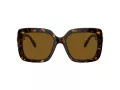 Swarovski SK 6001 100283 55 Women sunglasses
