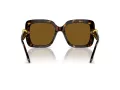 Swarovski SK 6001 100283 55 Women sunglasses