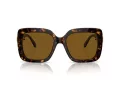 Swarovski SK 6001 100283 55 Women sunglasses