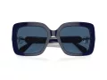 Swarovski SK 6001 100455 55 Women sunglasses