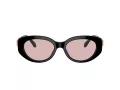 Swarovski SK 6002 1001/5 53 Women sunglasses
