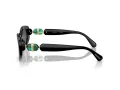 Swarovski SK 6002 100187 53 Women sunglasses