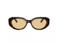 Swarovski SK 6002 1002/8 53 Women sunglasses