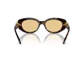 Swarovski SK 6002 1002/8 53 Women sunglasses