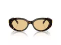 Swarovski SK 6002 1002/8 53 Women sunglasses
