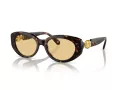 Swarovski SK 6002 1002/8 53 Women sunglasses