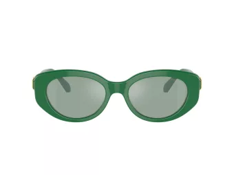 Swarovski SK 6002 10079C 53 Women sunglasses