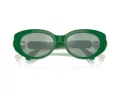 Swarovski SK 6002 10079C 53 Women sunglasses