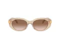 Swarovski SK 6002 103413 53 Women sunglasses