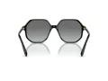 Swarovski SK 6003 100111 57 Women sunglasses