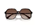 Swarovski SK 6003 100213 57 Women sunglasses