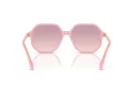 Swarovski SK 6003 200168 57 Women sunglasses