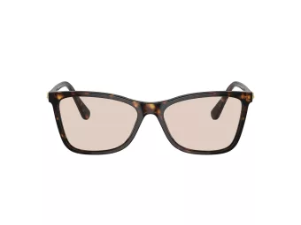 Swarovski SK 6004 1002M4 55 Women sunglasses