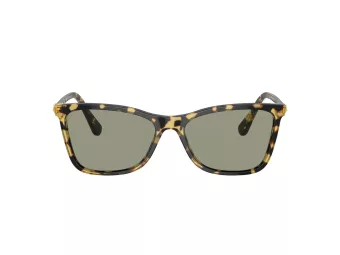 Swarovski SK 6004 1009/2 55 Women sunglasses