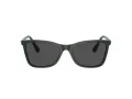 Swarovski SK 6004 102687 55 Women sunglasses