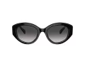 Swarovski SK 6005 10018G 53 Women sunglasses