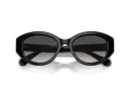 Swarovski SK 6005 10018G 53 Women sunglasses