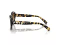 Swarovski SK 6005 100913 53 Women sunglasses