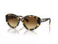 Swarovski SK 6005 100913 53 Women sunglasses