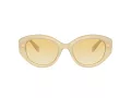 Swarovski SK 6005 10232Q 53 Women sunglasses