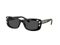 Swarovski SK 6008 100187 54 Women sunglasses