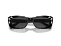 Swarovski SK 6008 100187 54 Women sunglasses