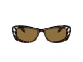 Swarovski SK 6008 100273 54 Women sunglasses