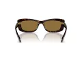 Swarovski SK 6008 100273 54 Women sunglasses