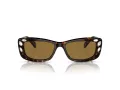 Swarovski SK 6008 100273 54 Women sunglasses