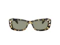 Swarovski SK 6008 1009/2 54 Women sunglasses