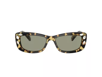 Swarovski SK 6008 1009/2 54 Women sunglasses